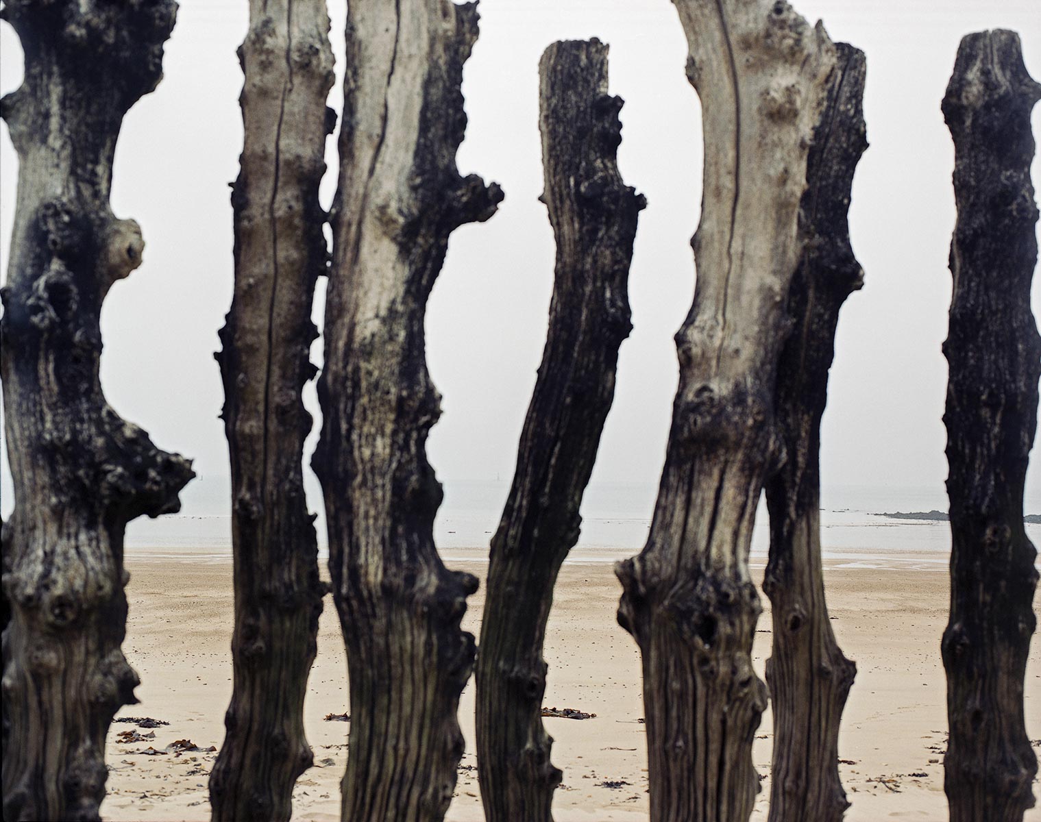 Tel quel, Saint-Malo - 2003