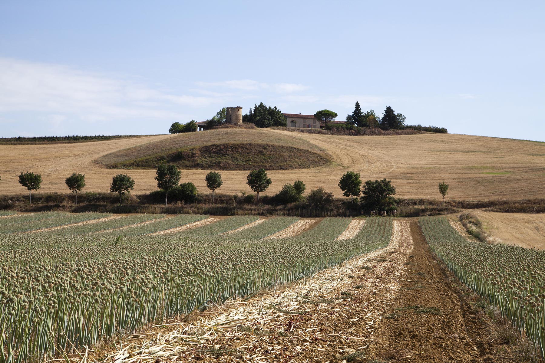 Tel quel, St-Michel-de-Lanes - 2020