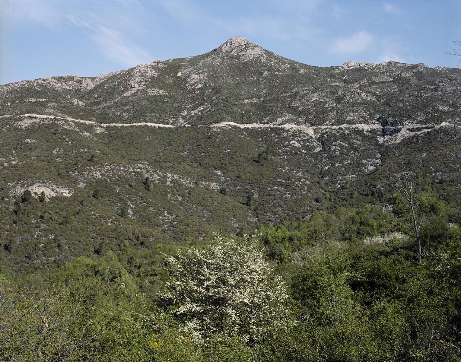 Tel quel, Vers Aullène, Corse - 2014