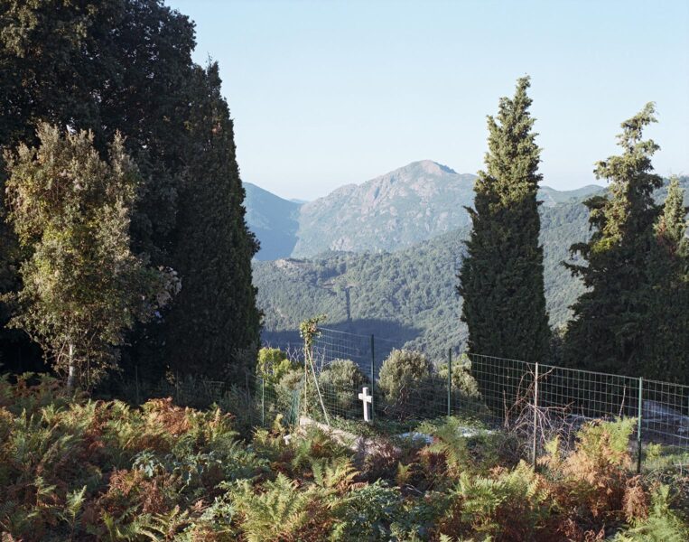 Tel quel, Zerubia Corse - 2011