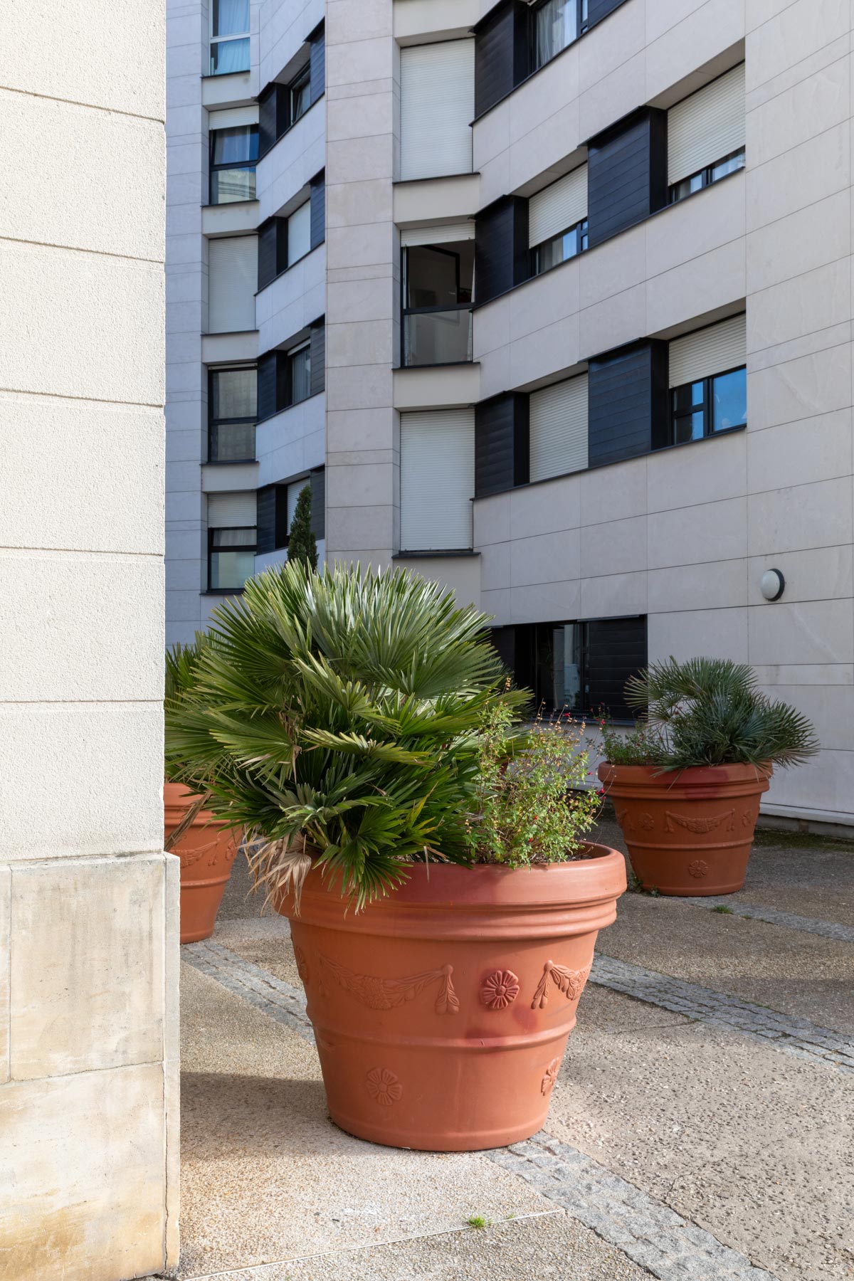 Neuilly-Plaisance, bords de Marne - 24/10/2025