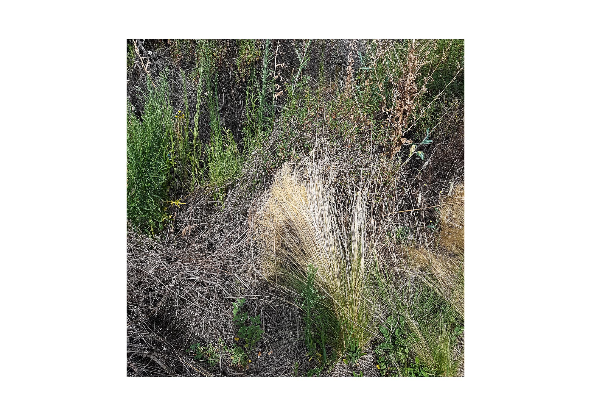 Galaxies - 2015-2024