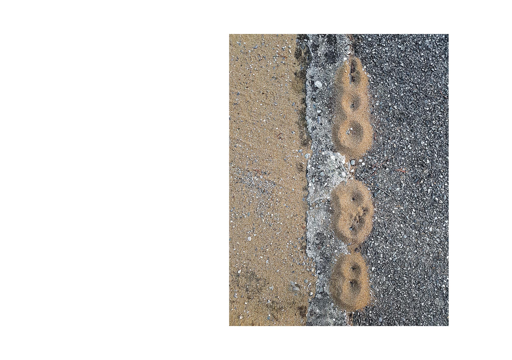 Galaxies - 2015-2024