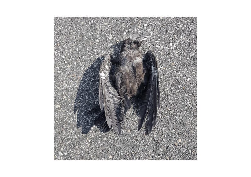 Galaxies - 2015-2024