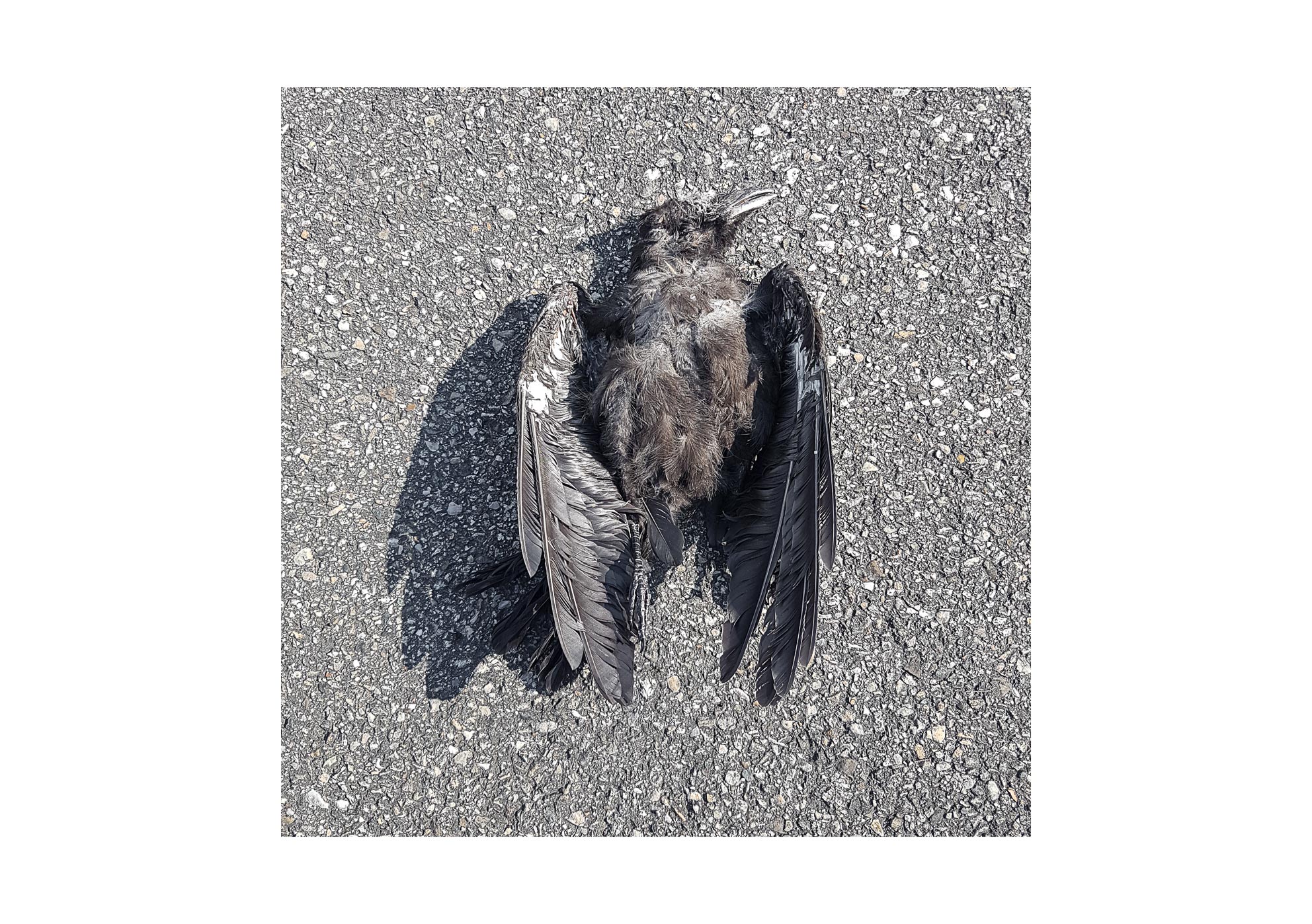 Galaxies - 2015-2024