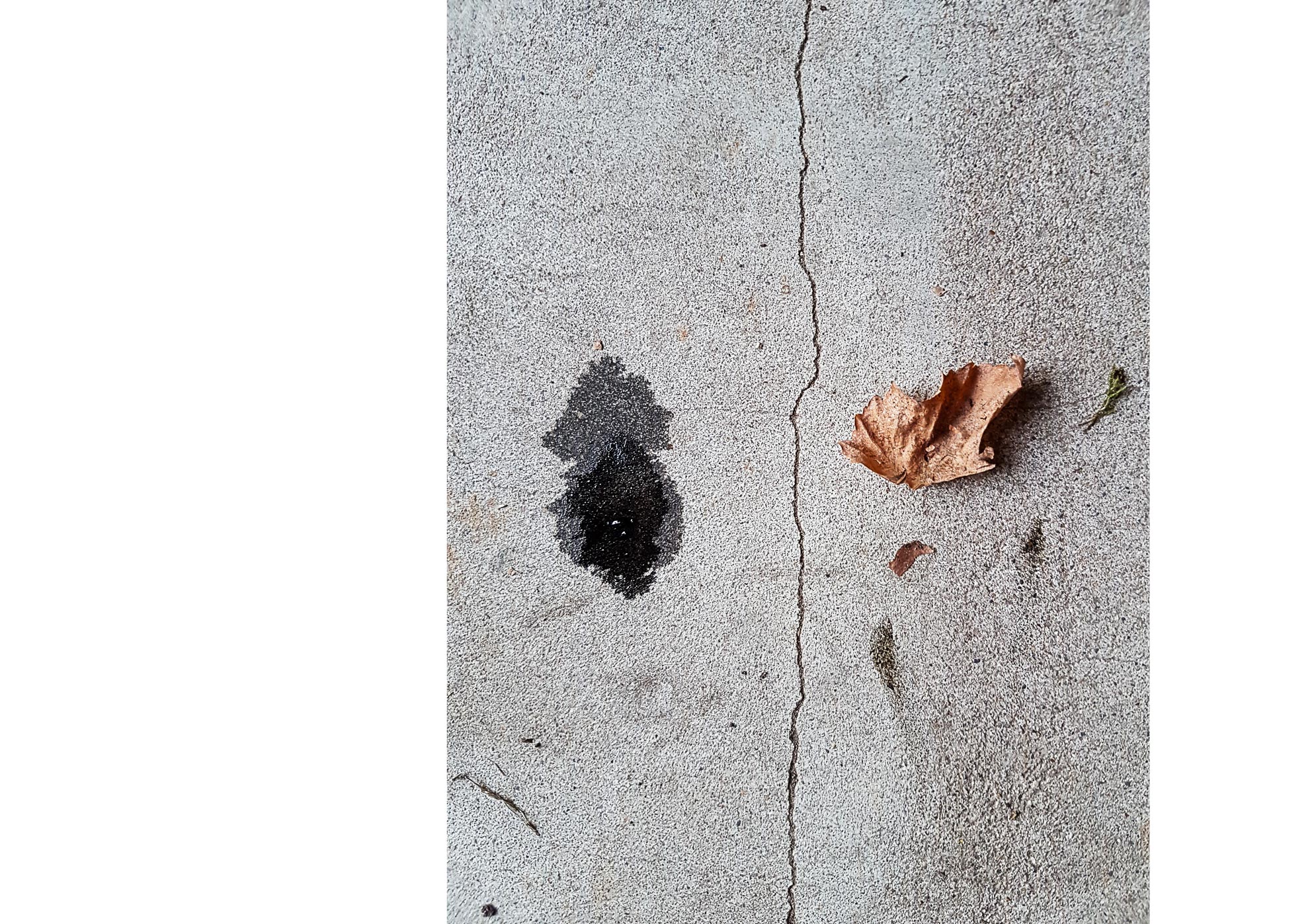 Galaxies - 2015-2024