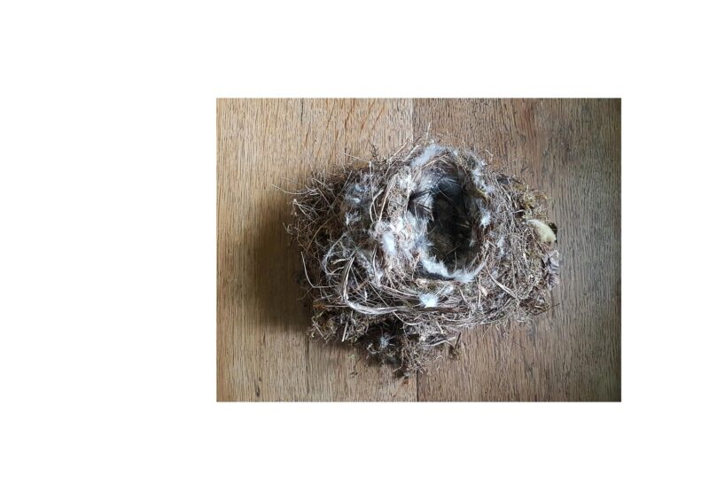 Galaxies - 2015-2024