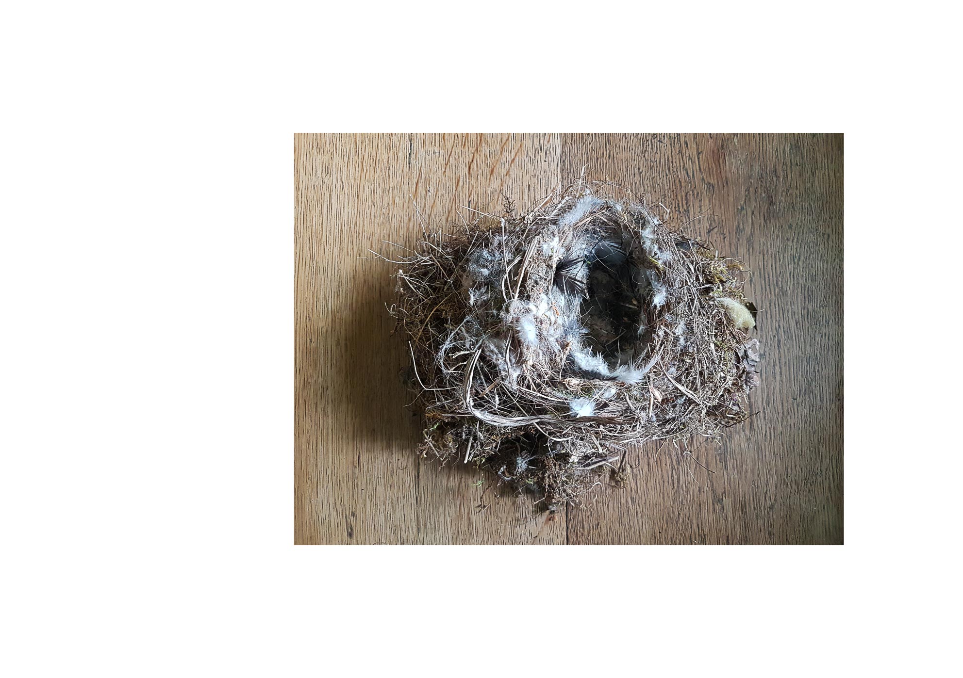 Galaxies - 2015-2024