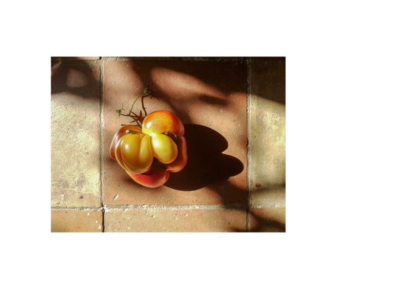 Galaxies - 2015-2024