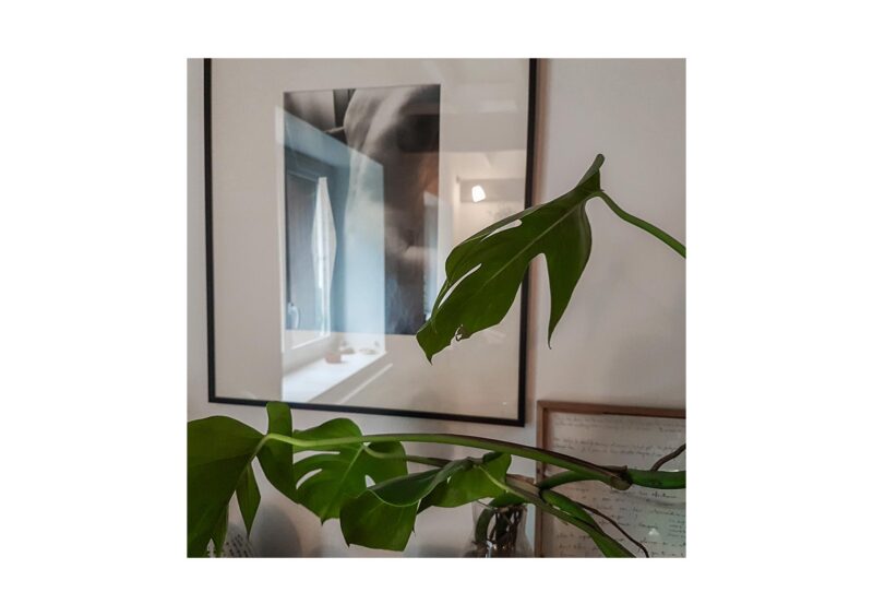 Galaxies - 2015-2024