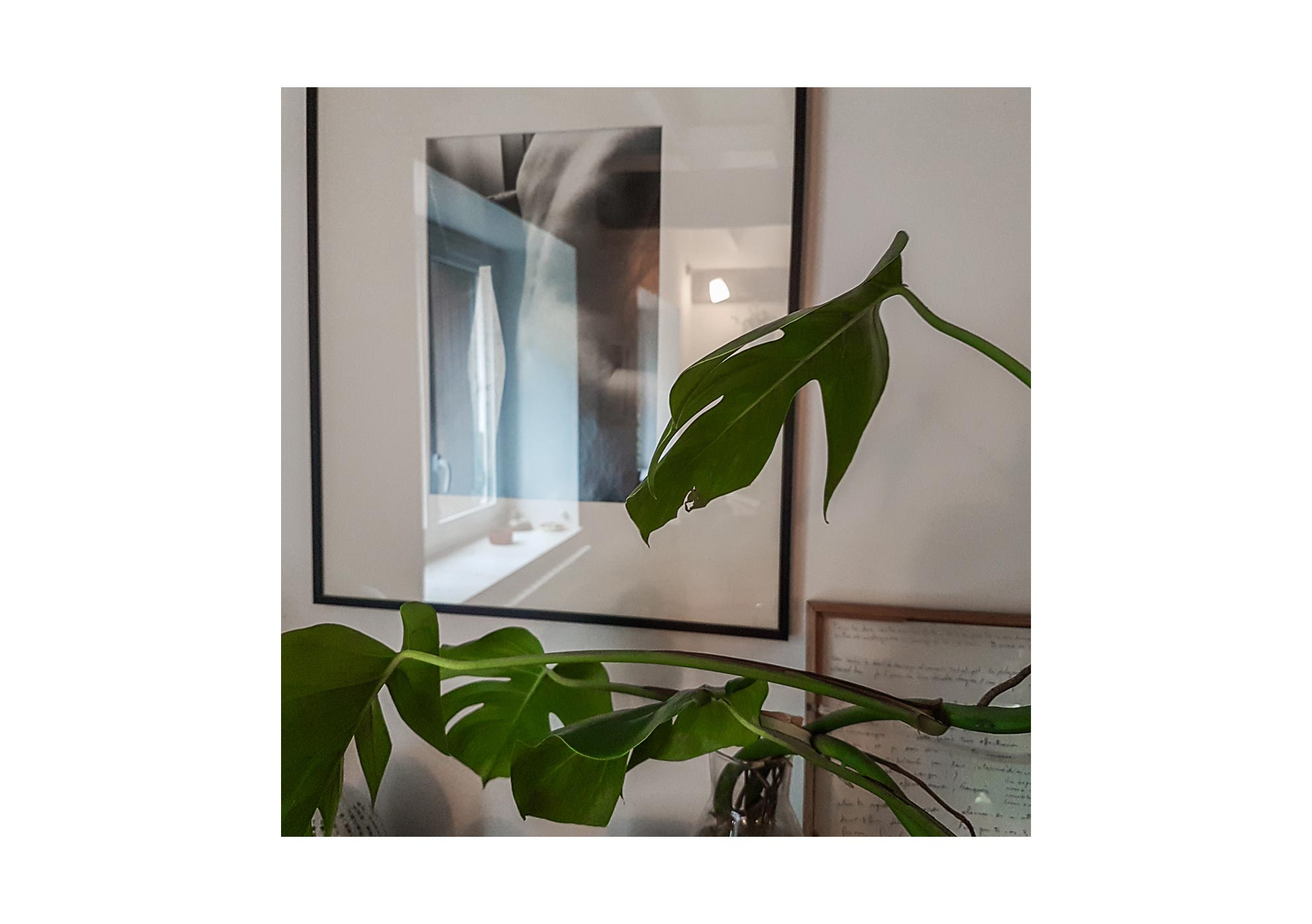 Galaxies - 2015-2024