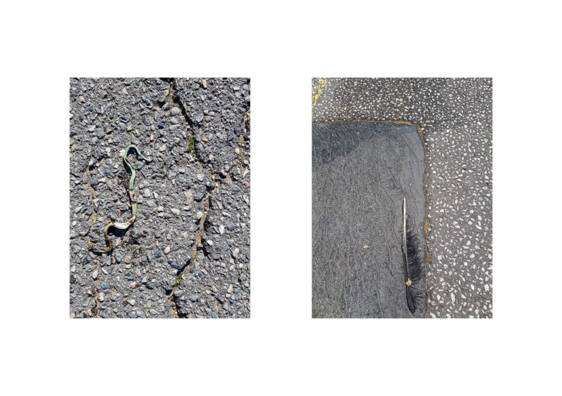 Galaxies - 2015-2024