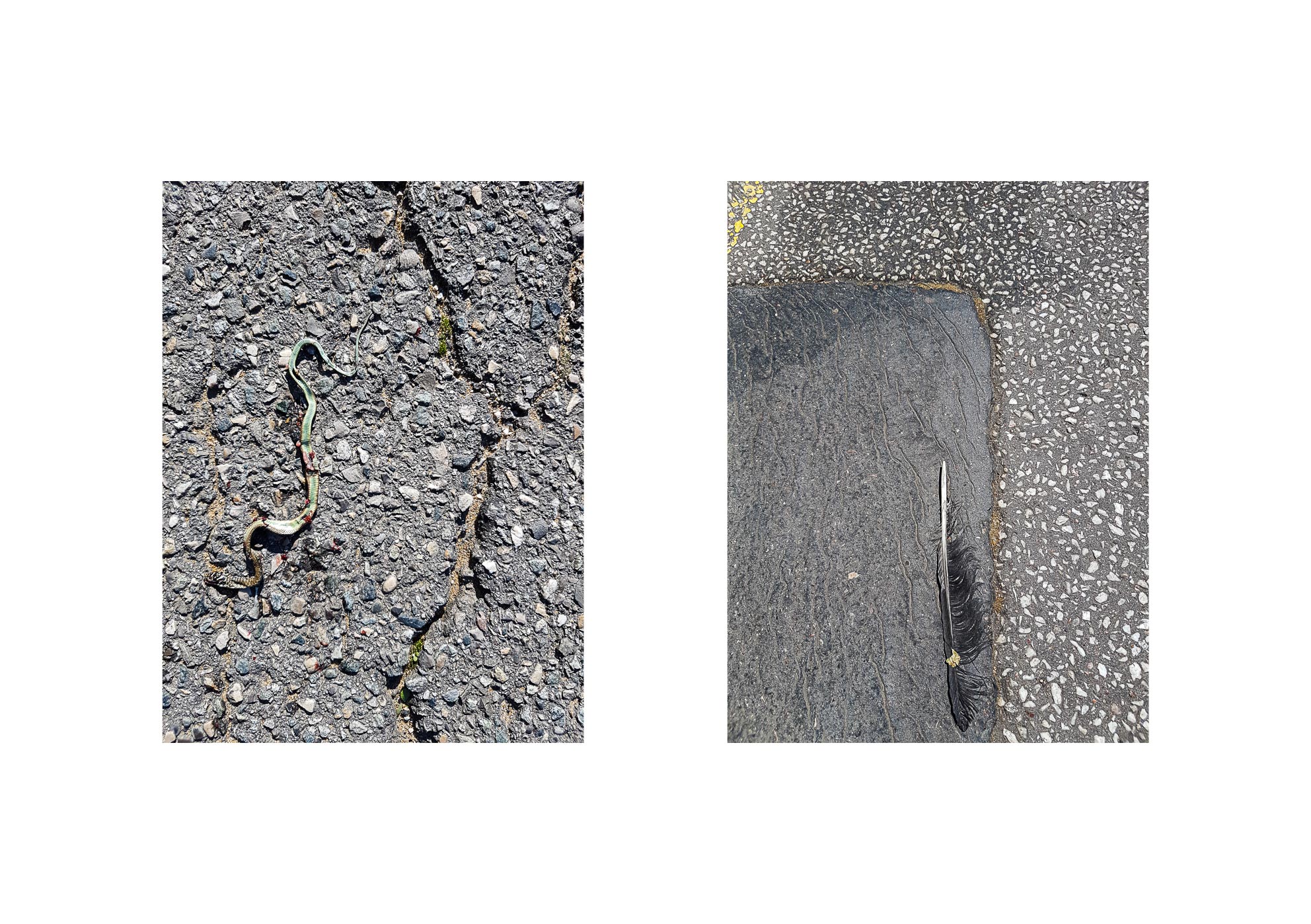 Galaxies - 2015-2024