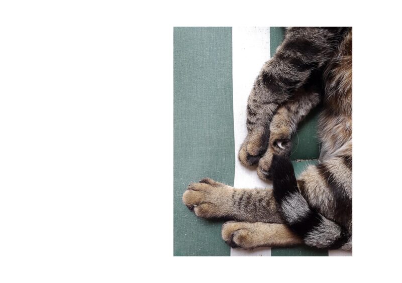 Galaxies - 2015-2024