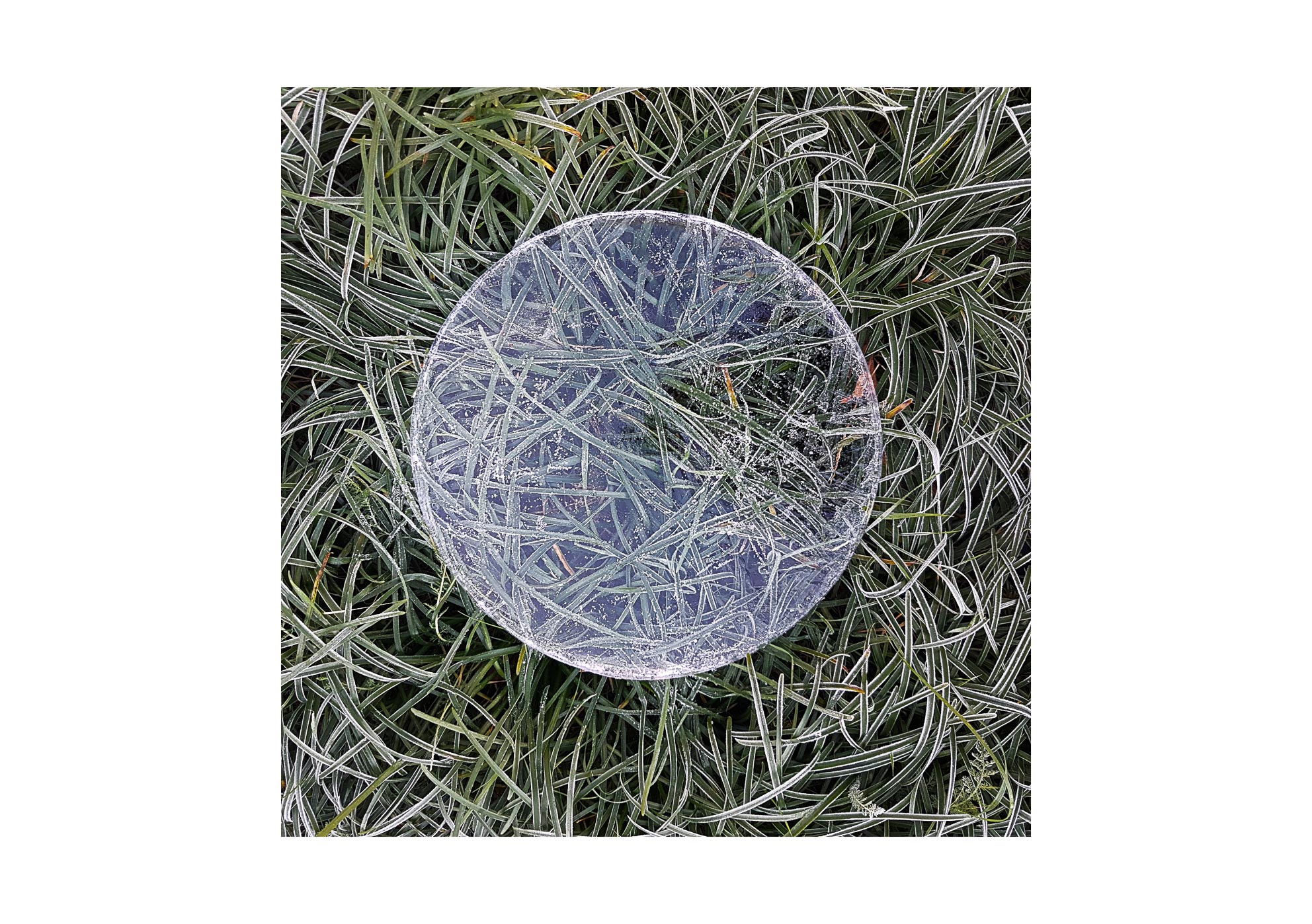 Galaxies - 2015-2024