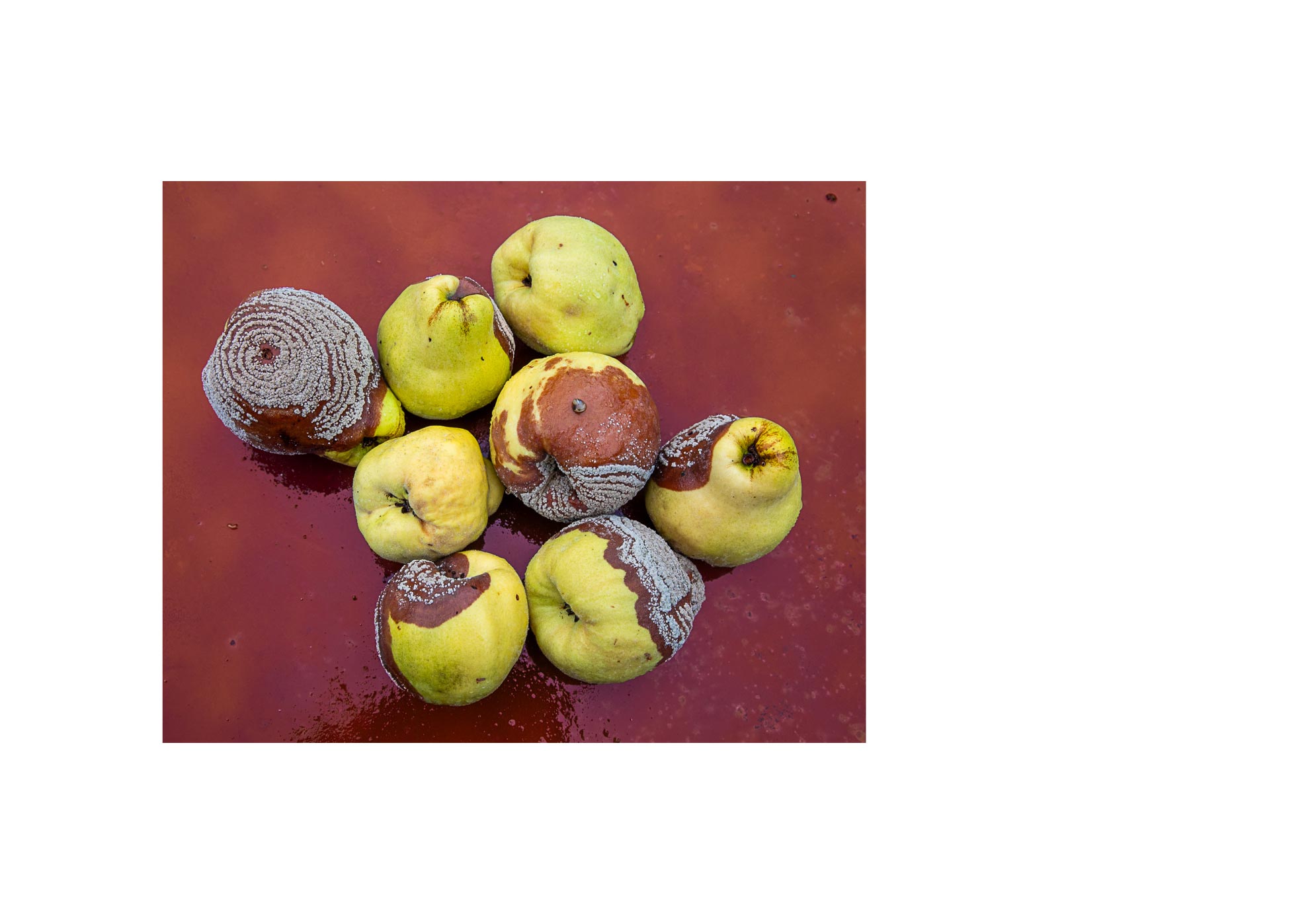 Galaxies - 2015-2024