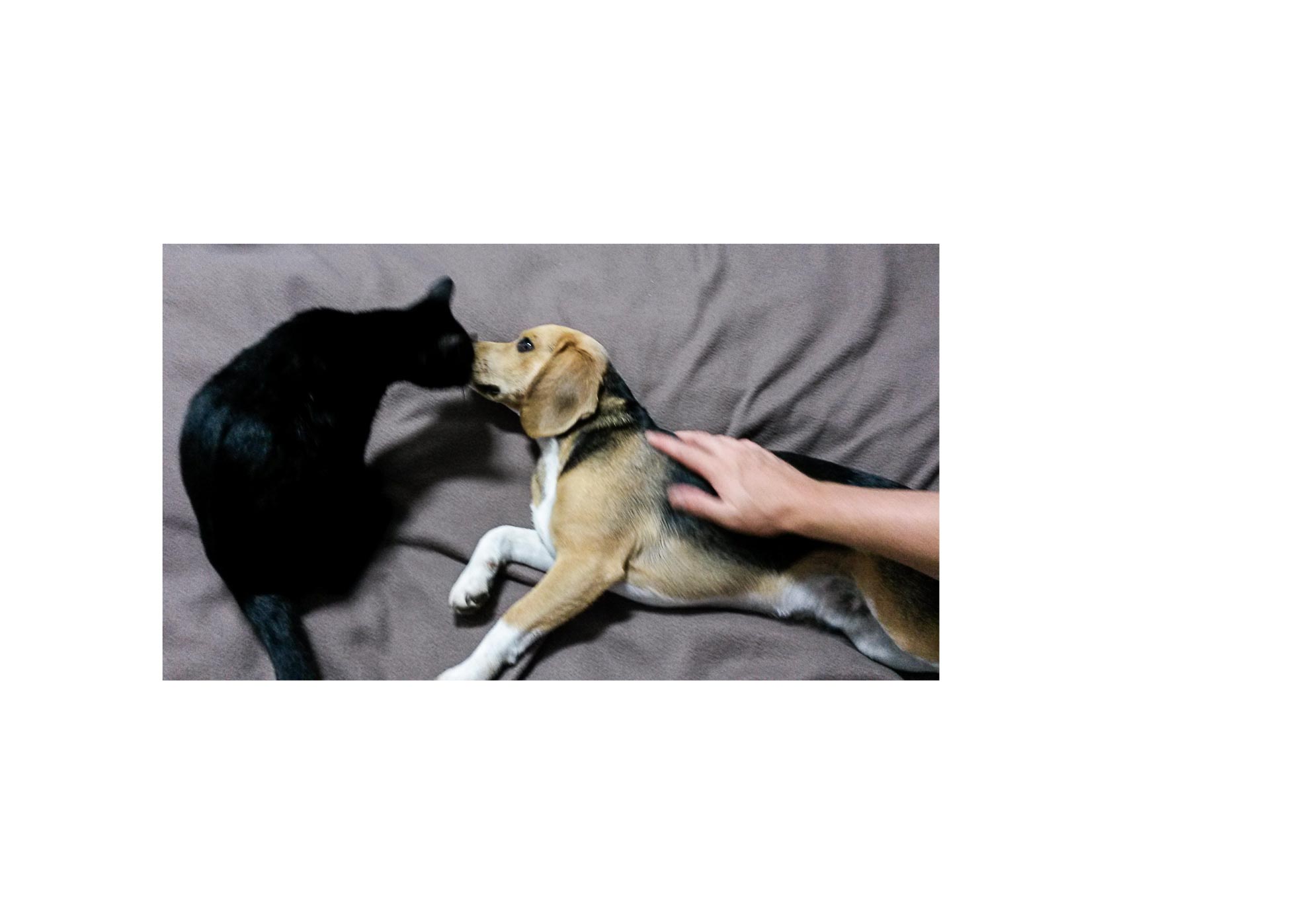 Galaxies - 2015-2024