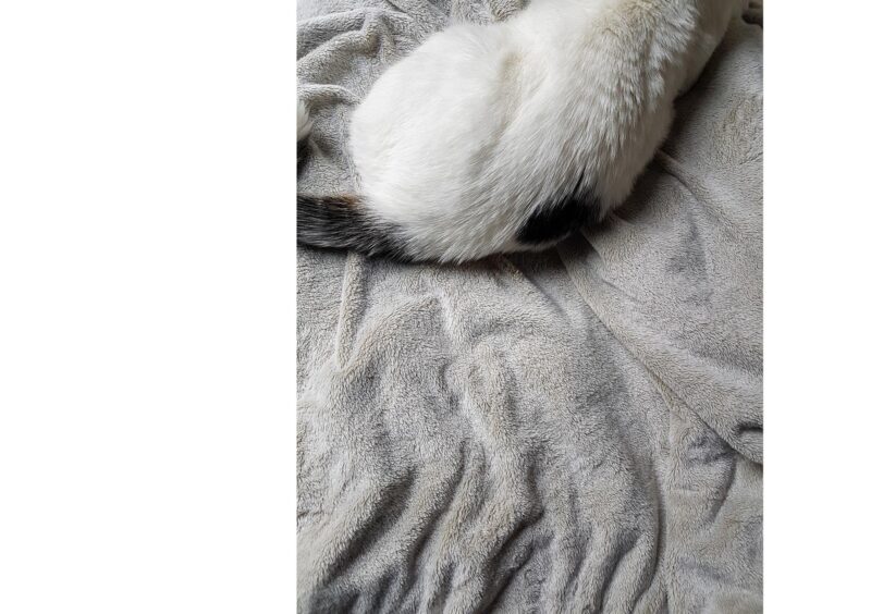 Galaxies - 2015-2024