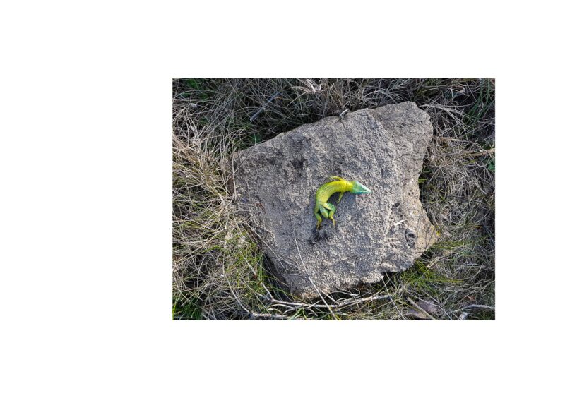 Galaxies - 2015-2024