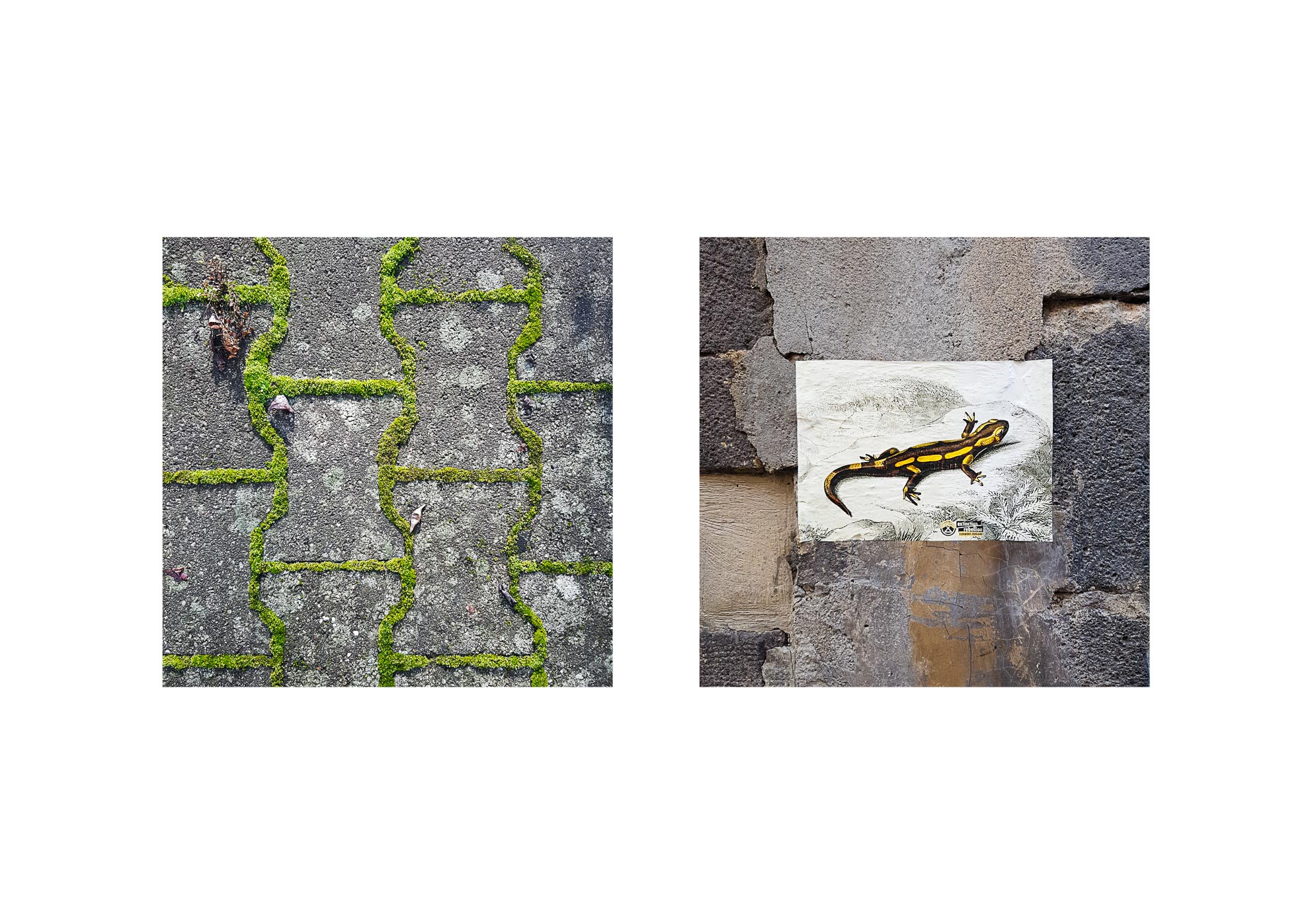 Galaxies - 2015-2024