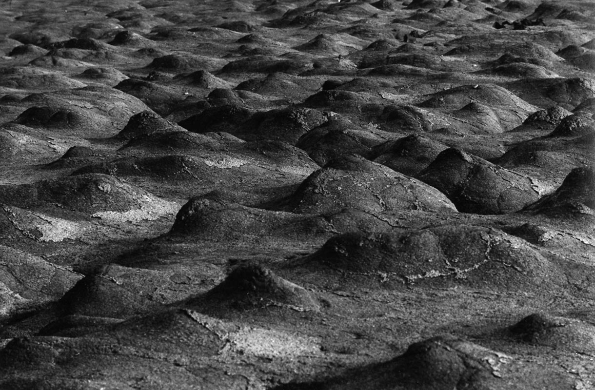 Les Écritures du sable - 1975