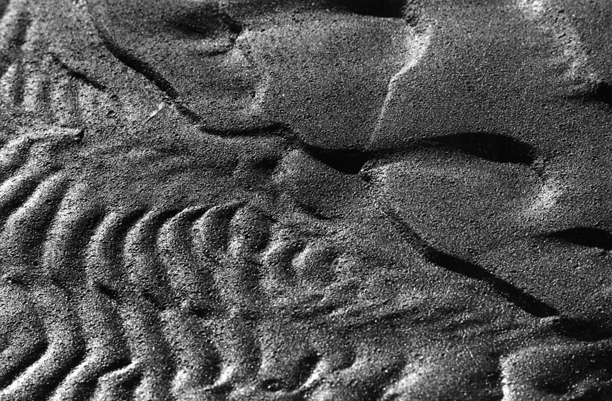 Les Écritures du sable - 1975